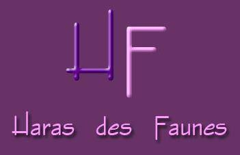  Haras des Faunes