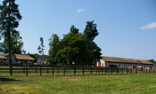  Haras de Gelos