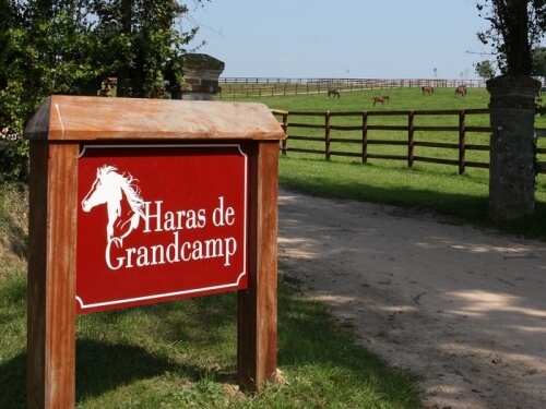  Haras de Grandcamp