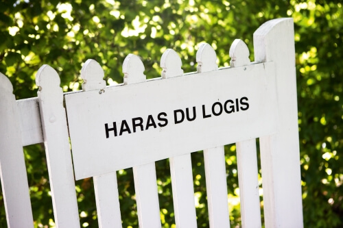  Haras du Logis