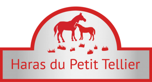  Haras du Petit Tellier