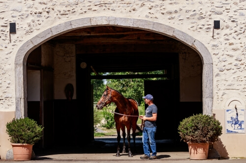  Haras de Saint Vincent