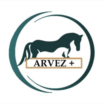  Haras ARVEZ +